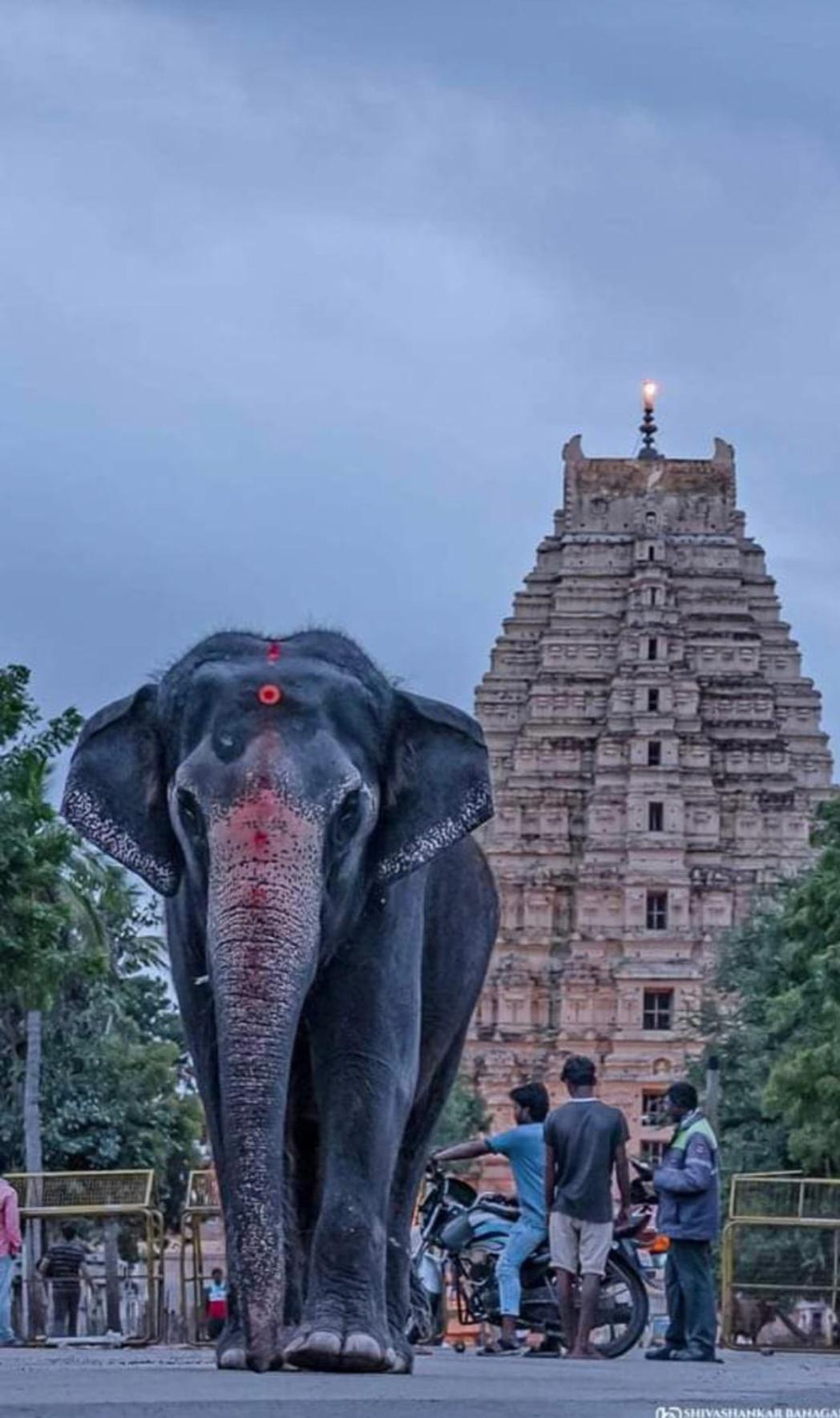 Sai Ram Home Stay Хампи Экстерьер фото